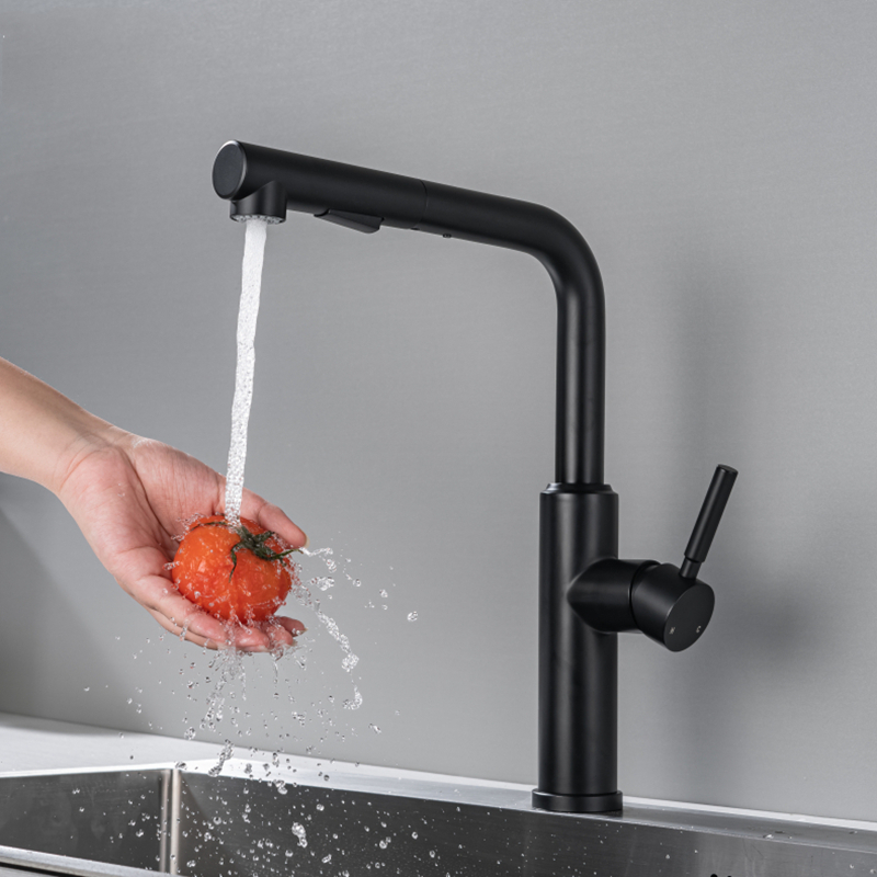 Stainless Steel Pull-Out Kitchen Faucet with Sprayer