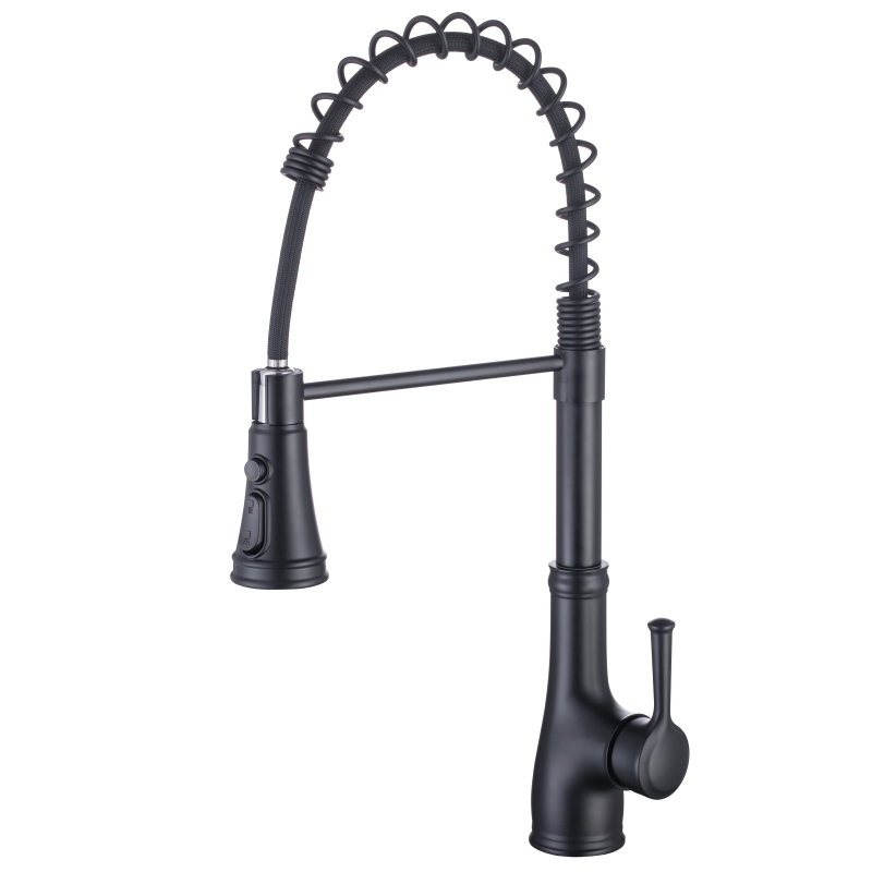 Pull-Out Kitchen Sink Faucet with High Arc and Flexible Hose