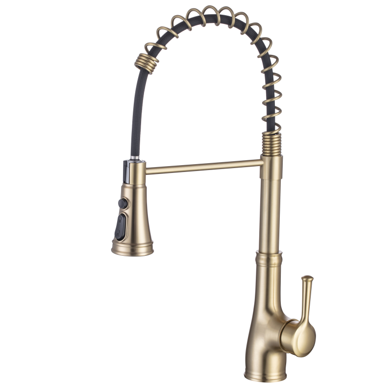Pull-Out Kitchen Sink Faucet with High Arc and Flexible Hose