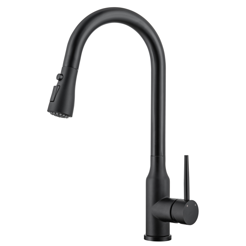 Kitchen Faucet with Flexible Spout