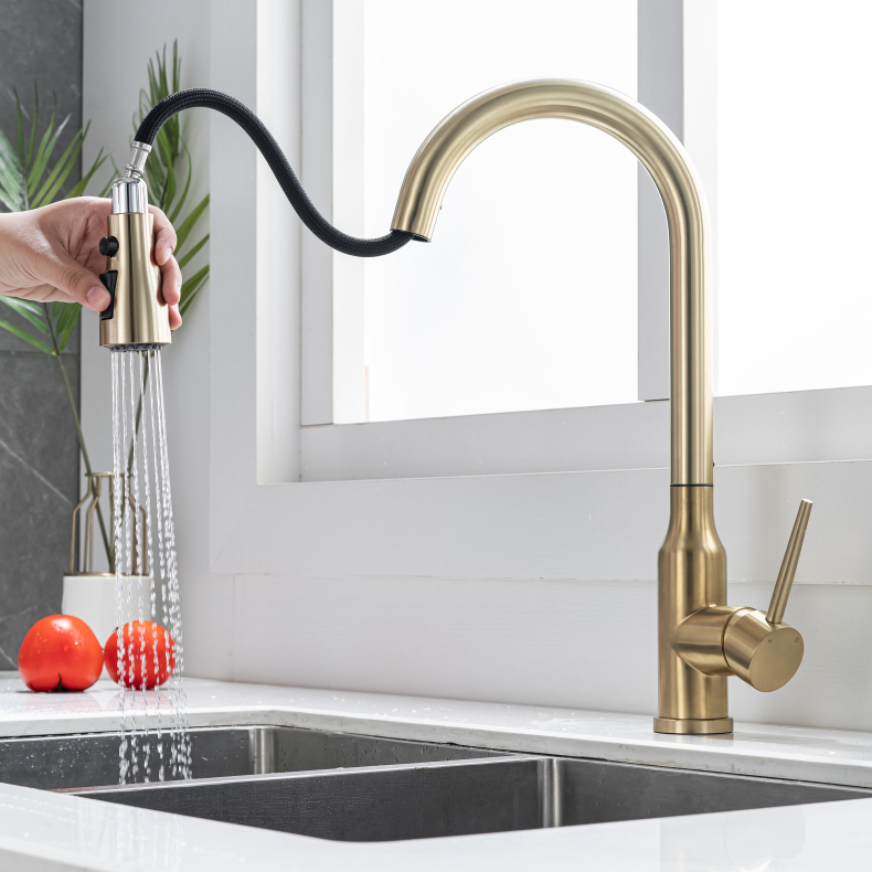 Kitchen Faucet with Flexible Spout