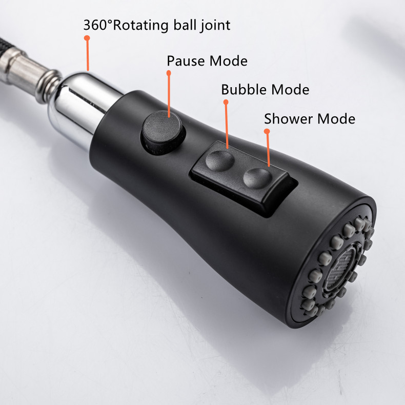 Kitchen Faucet with Flexible Spout