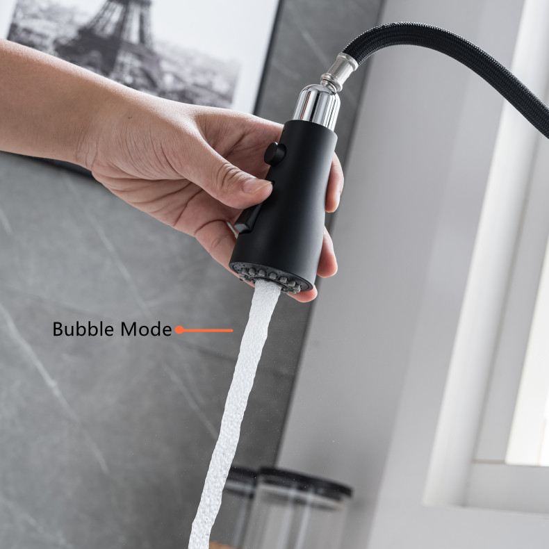 Kitchen Faucet with Flexible Spout