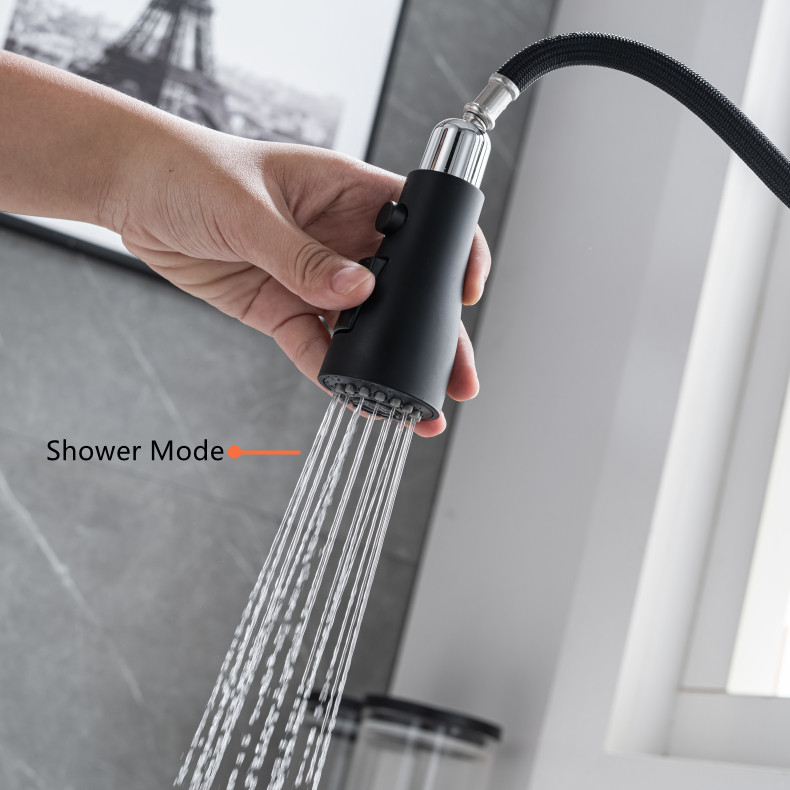 Kitchen Faucet with Flexible Spout