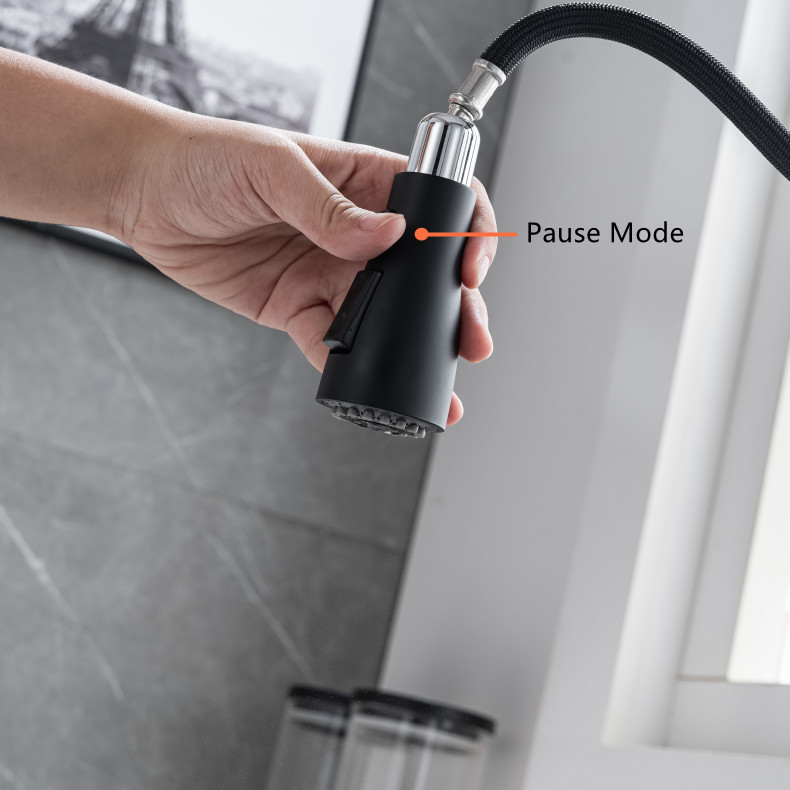 Kitchen Faucet with Flexible Spout