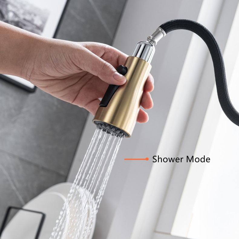 High-Arc Kitchen Faucet with Pot Filler and Pull-Down Sprayer
