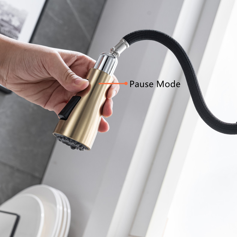 High-Arc Kitchen Faucet with Pot Filler and Pull-Down Sprayer