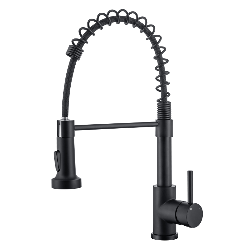 Pull-Out Kitchen Faucet with Dual Function Spray Head