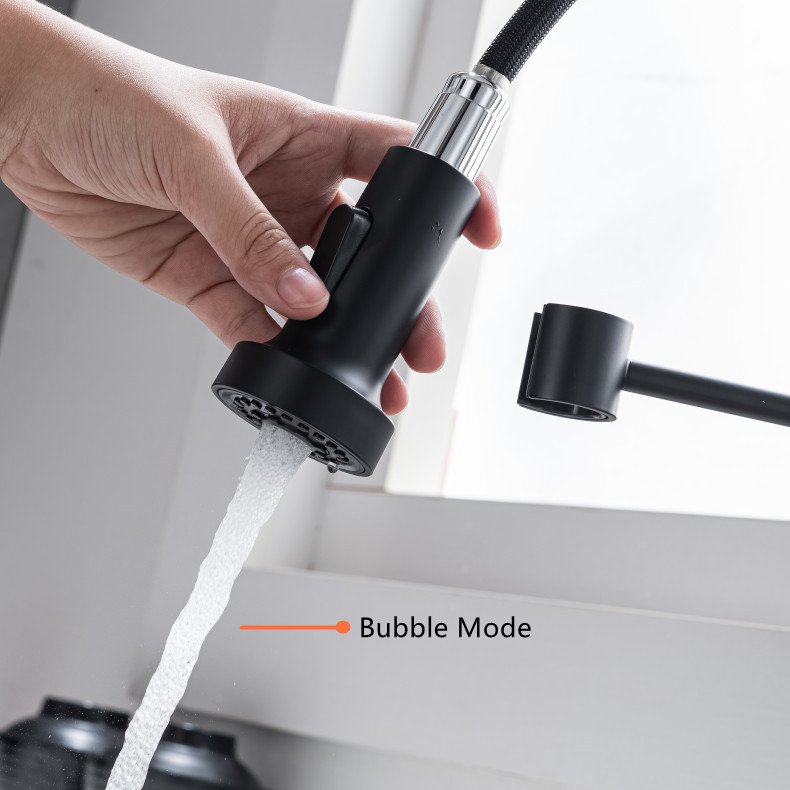 Pull-Out Kitchen Faucet with Dual Function Spray Head