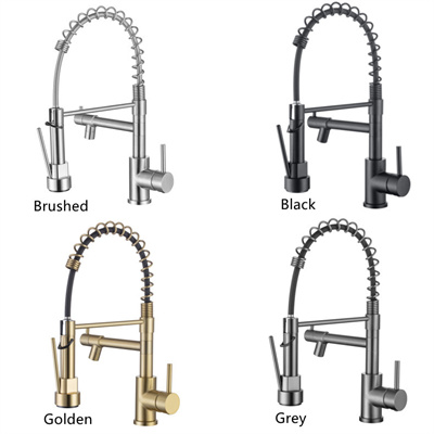 Pull-Out Kitchen Faucet with Dual Spray