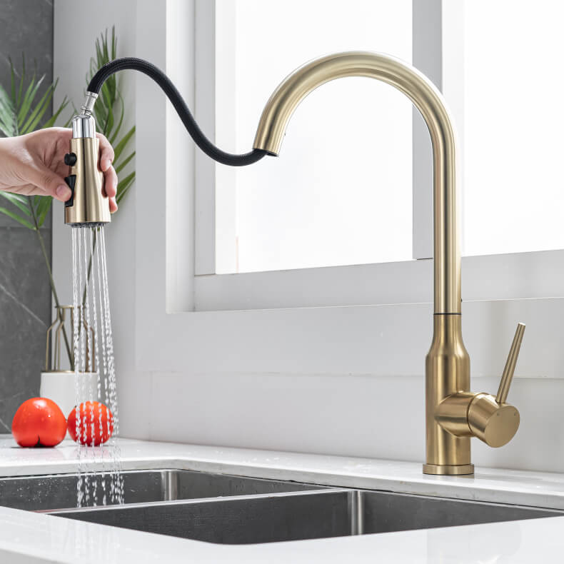 Kitchen Faucet with Flexible Spout