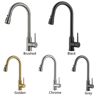 Kitchen Faucet with Flexible Spout