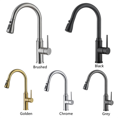 High-Arc Kitchen Faucet with Pot Filler and Pull-Down Sprayer